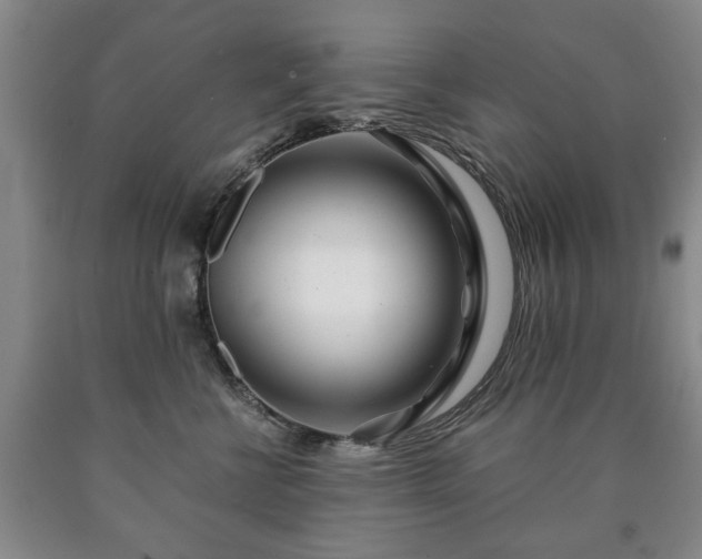 X0000090600570200707241046