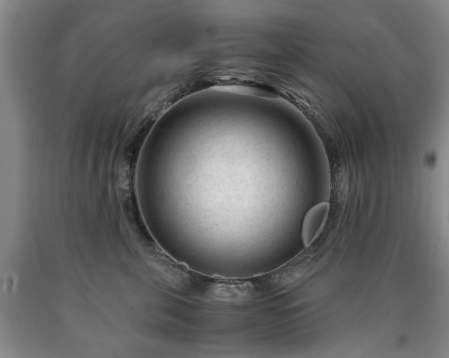 X0000090600571200707241046