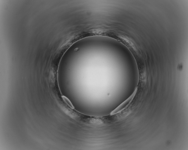 X0000090600572200707241046