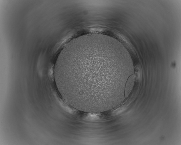 X0000090600573200707241046