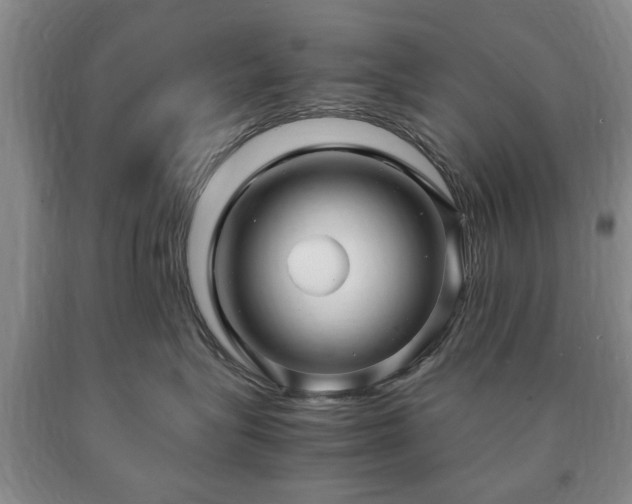 X0000090600575200707241046