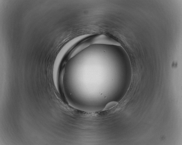 X0000090600576200707241046