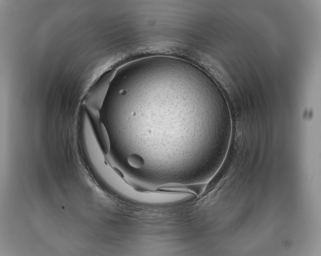 X0000090600578200707241046