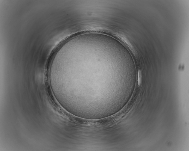 X0000090600579200707241046