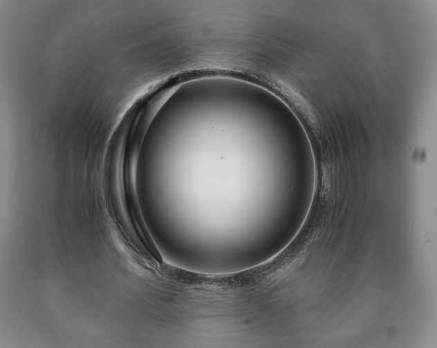 X0000090600580200707241046