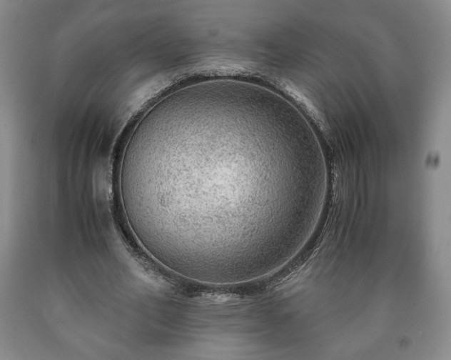 X0000090600582200707241046