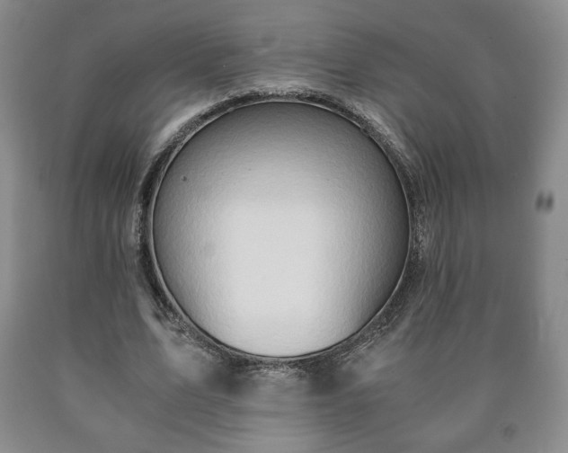 X0000090600583200707241046