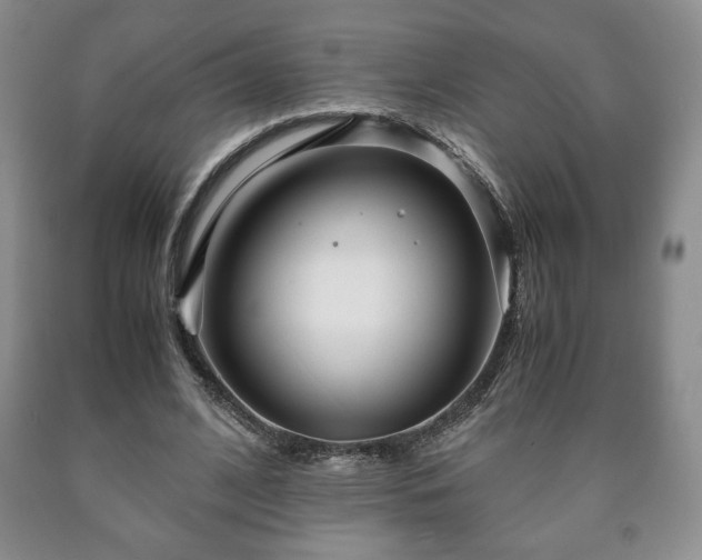 X0000090600584200707241046