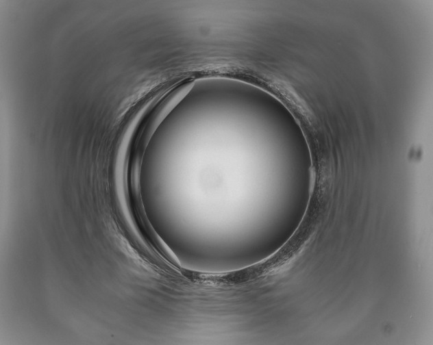 X0000090600585200707241046