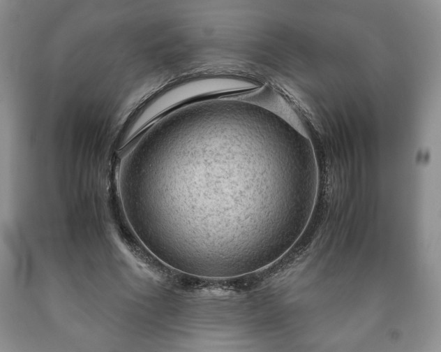 X0000090600586200707241046