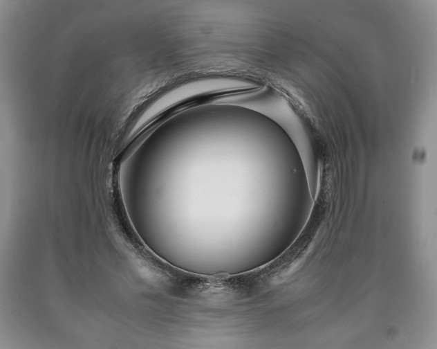 X0000090600589200707241046