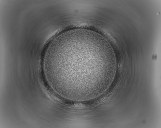 X0000090600591200707241046