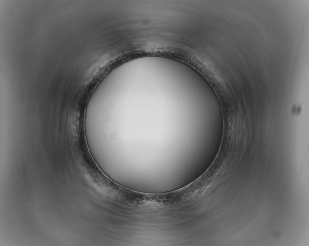 X0000090600592200707241046