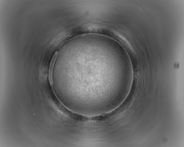 X0000090600593200707241046