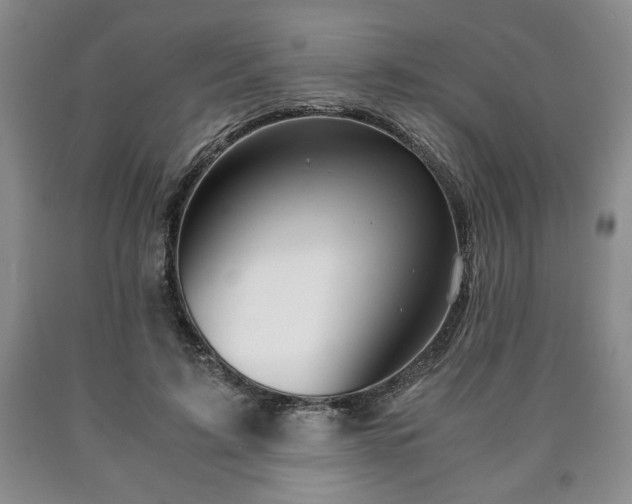 X0000090600595200707241046