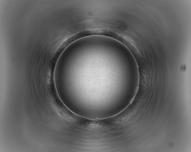 X0000090600596200707241045