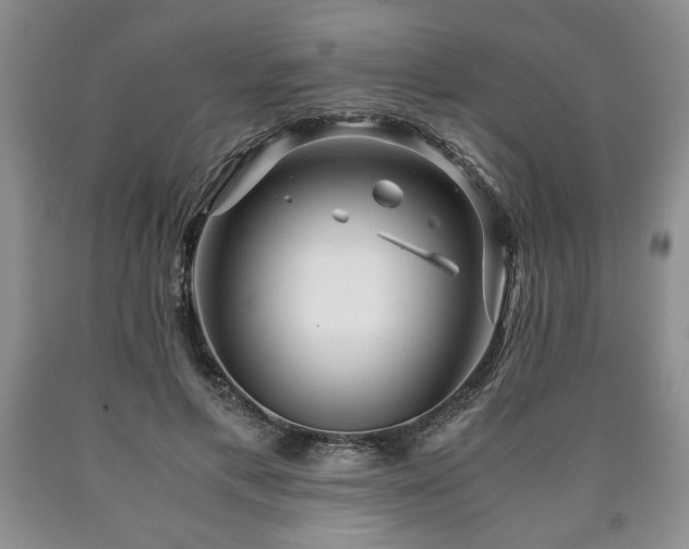 X0000090600597200707241045