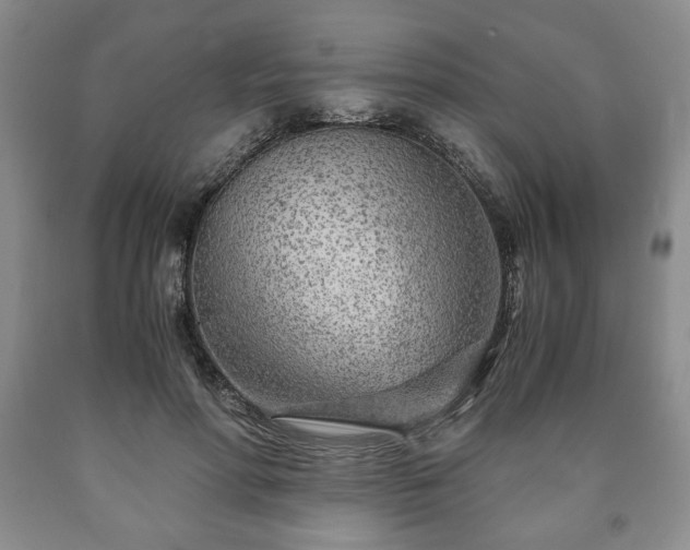 X0000090600598200707241045