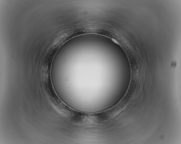 X0000090600599200707241045