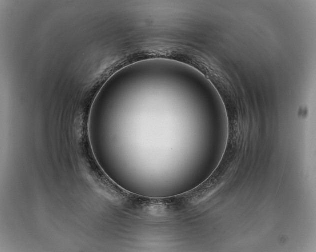 X0000090600600200707241045