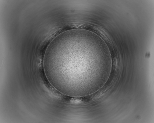 X0000090600602200707241045