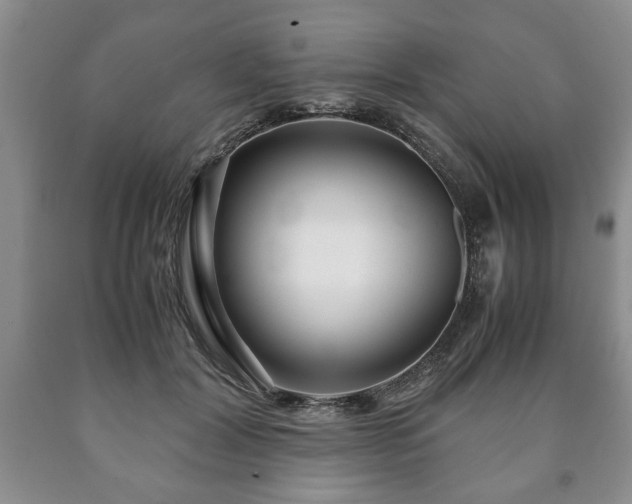 X0000090600604200707241045