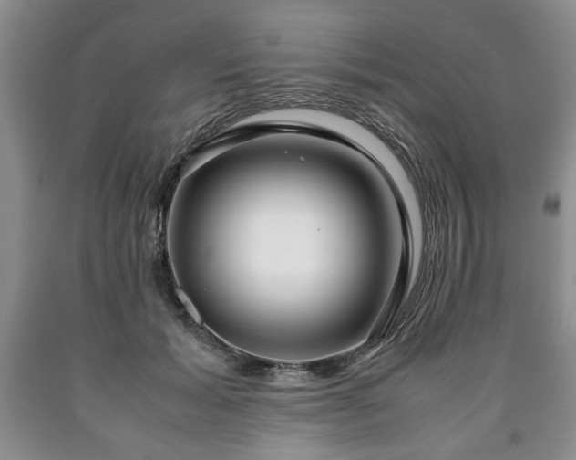 X0000090600605200707241045