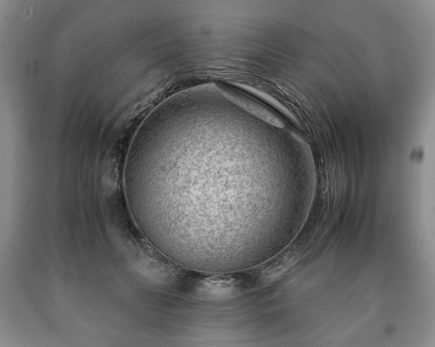 X0000090600606200707241045