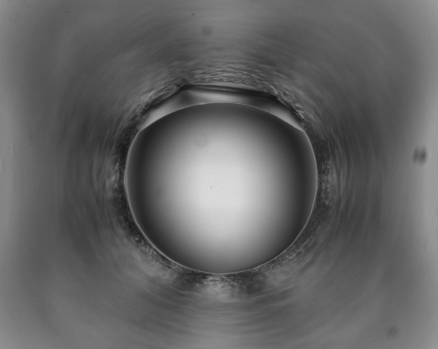 X0000090600608200707241045