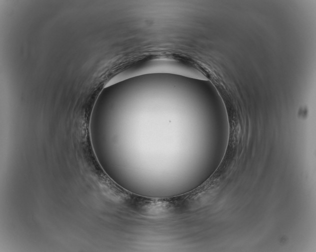 X0000090600609200707241045