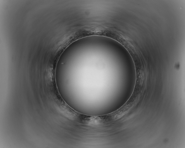 X0000090600612200707241045