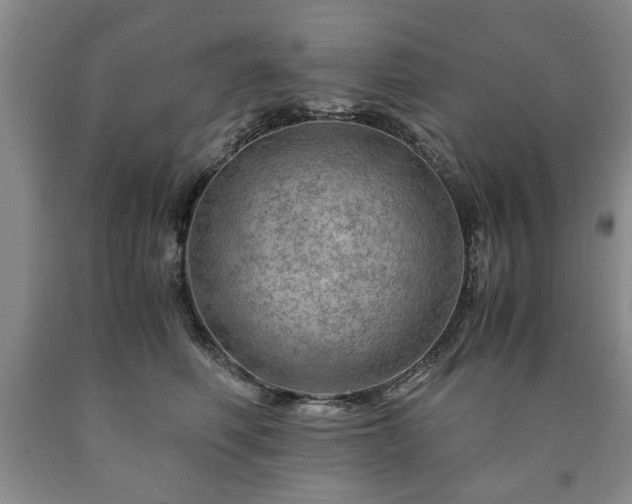 X0000090600614200707241045