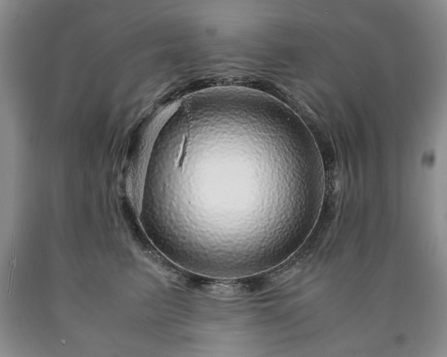 X0000090600615200707241045