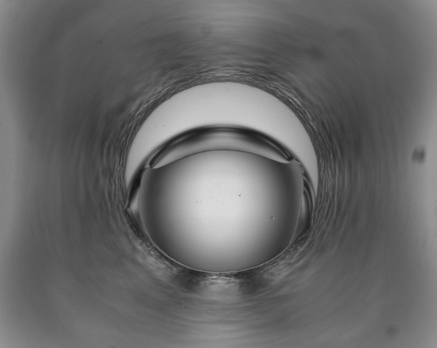 X0000090600617200707241045