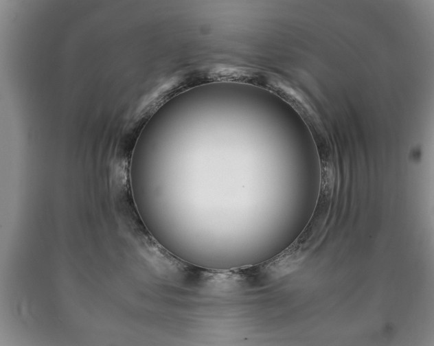 X0000090600621200707241045