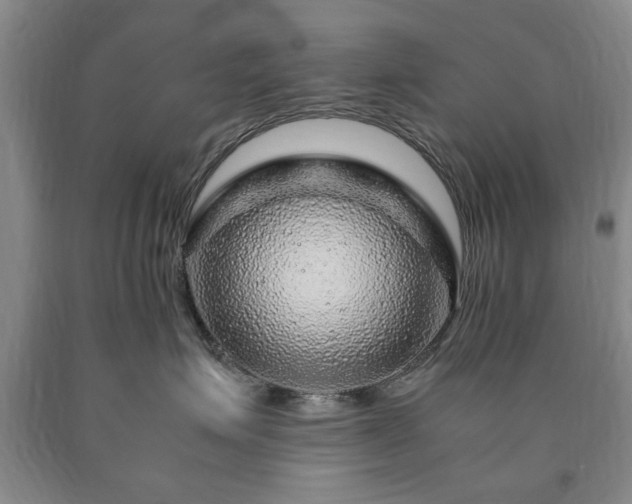 X0000090600623200707241045