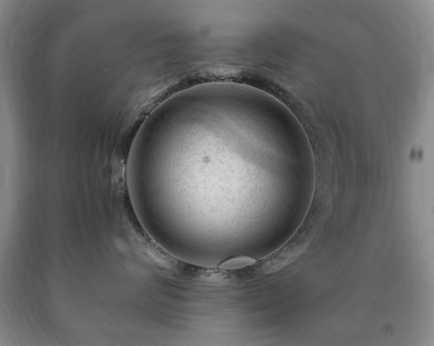 X0000090600624200707241045