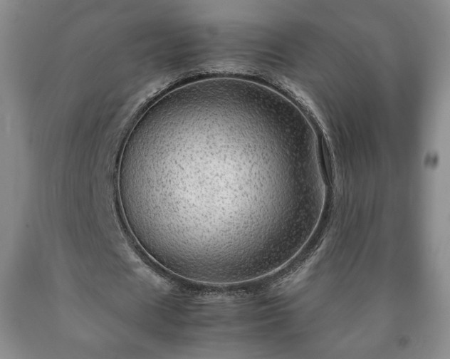 X0000090600625200707241044