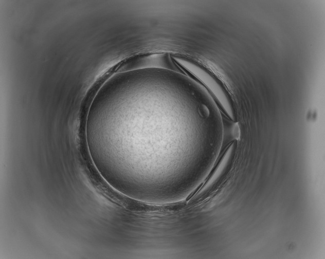 X0000090600627200707241044