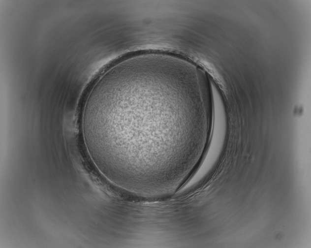 X0000090600628200707241044