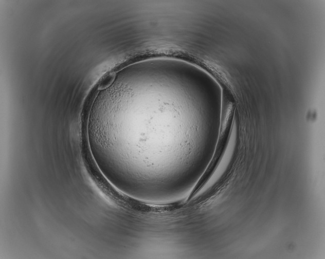 X0000090600630200707241044