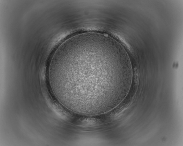 X0000090600631200707241044