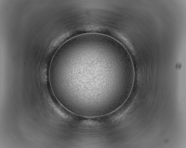 X0000090600633200707241044