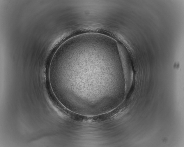 X0000090600634200707241044