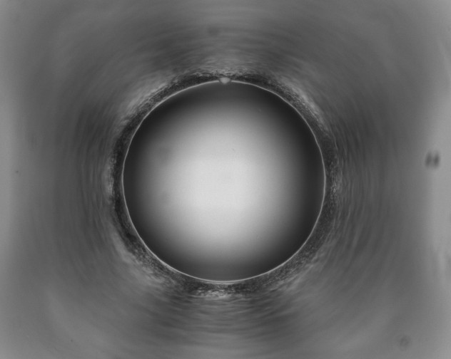 X0000090600635200707241044