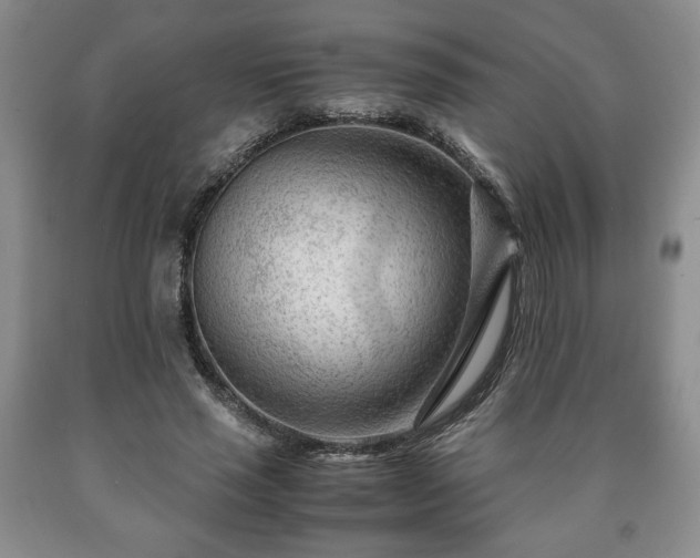 X0000090600637200707241044