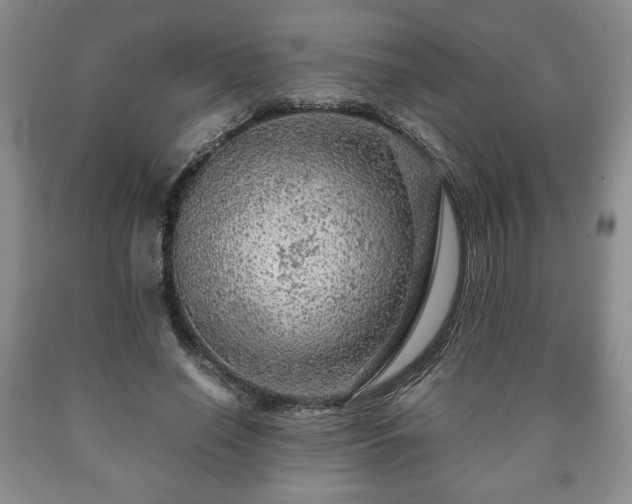 X0000090600638200707241044