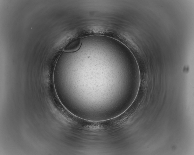 X0000090600639200707241044