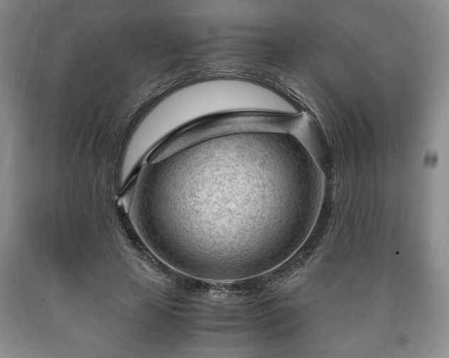 X0000090600641200707241044