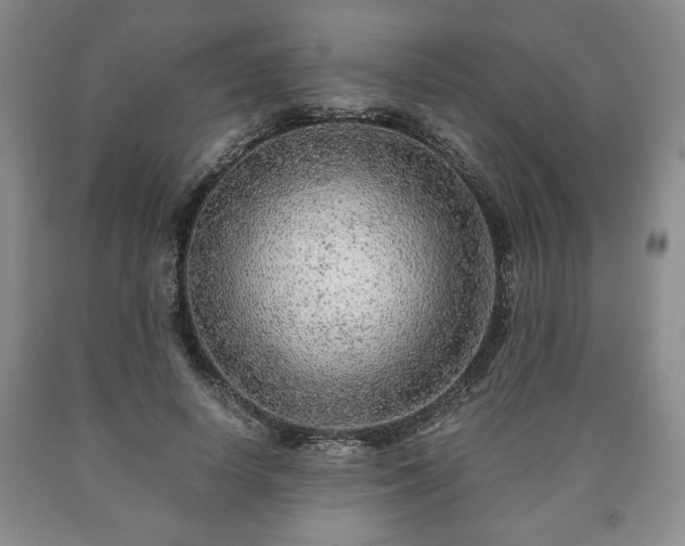 X0000090600642200707241044